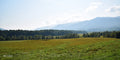 A Cades Cove Day