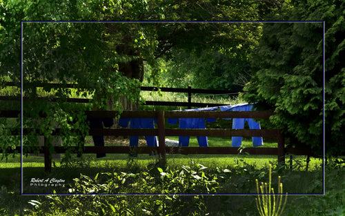 Bright blue laundry hanging on a clothesline behind a wooden fence dappled in summer sunlight beneath lush green trees — fine art rural photography print by Robert A. Clayton