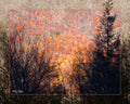 Fall Mountain