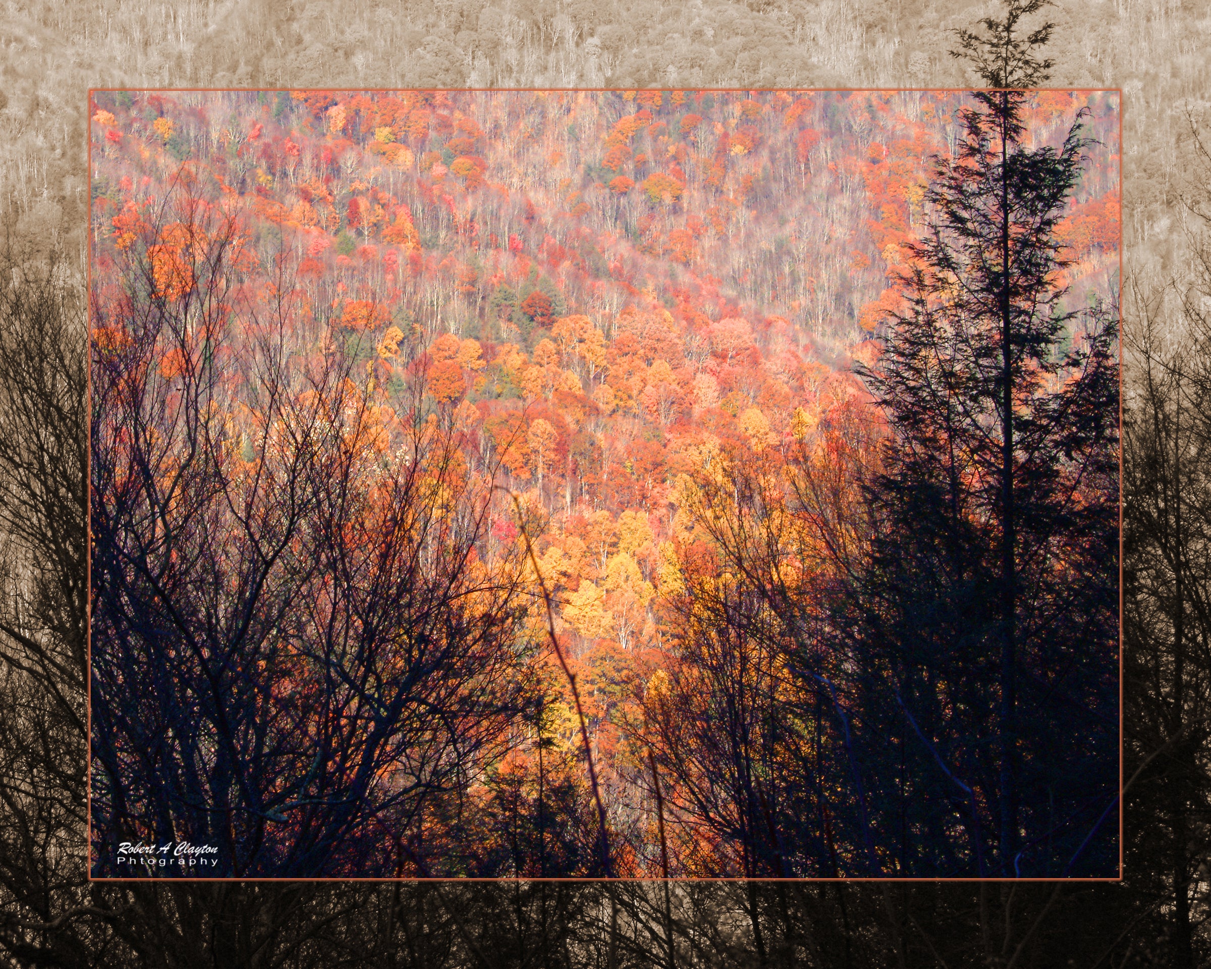 Fall Mountain