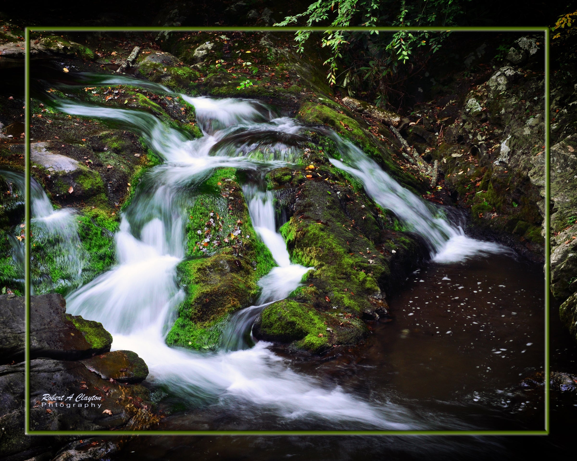 Mountain Stream