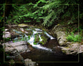 Mountain Stream ((091119bL)