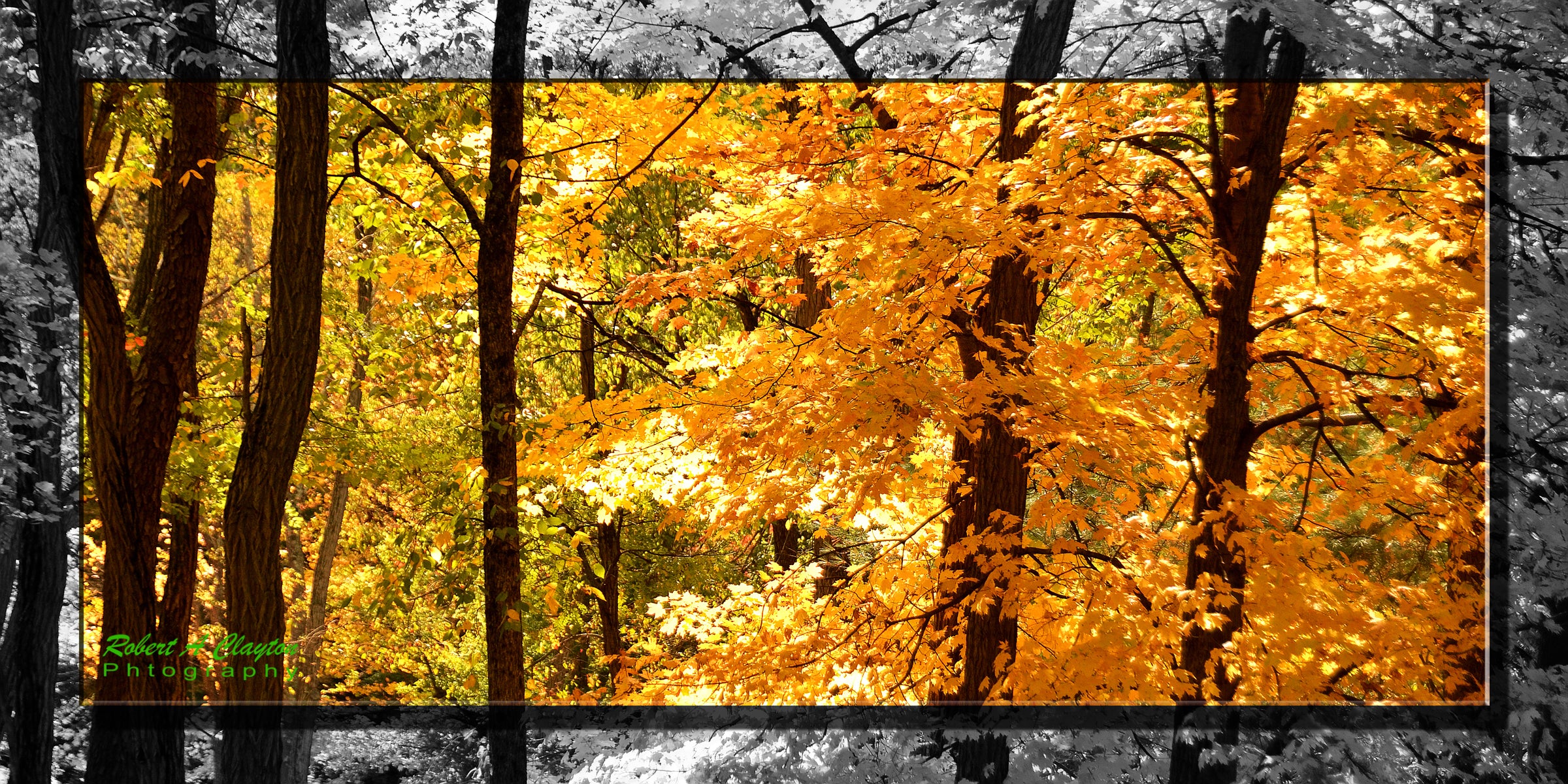 Ohio Fall