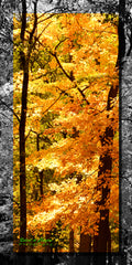 Ohio Fall V