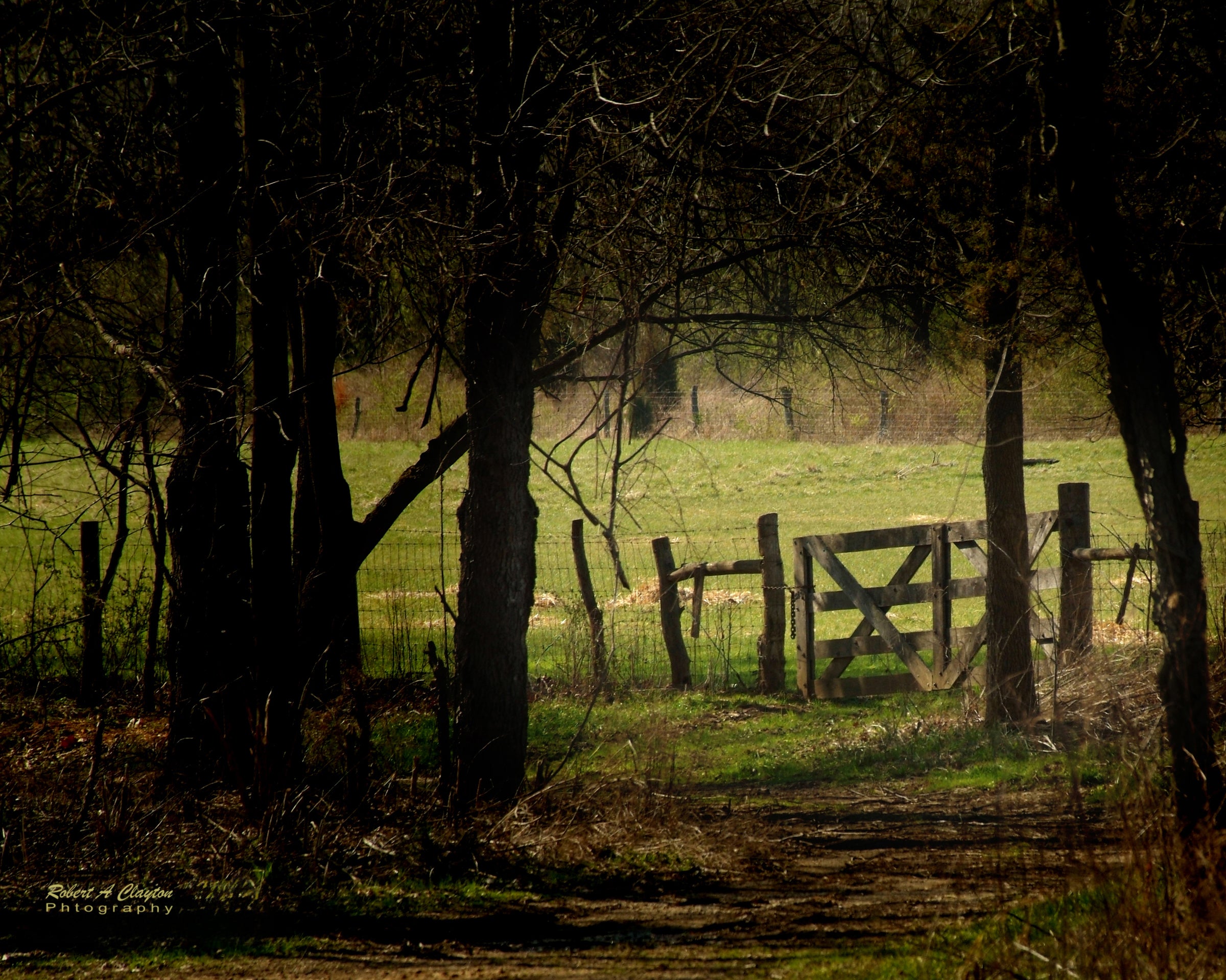 Pasture Gate