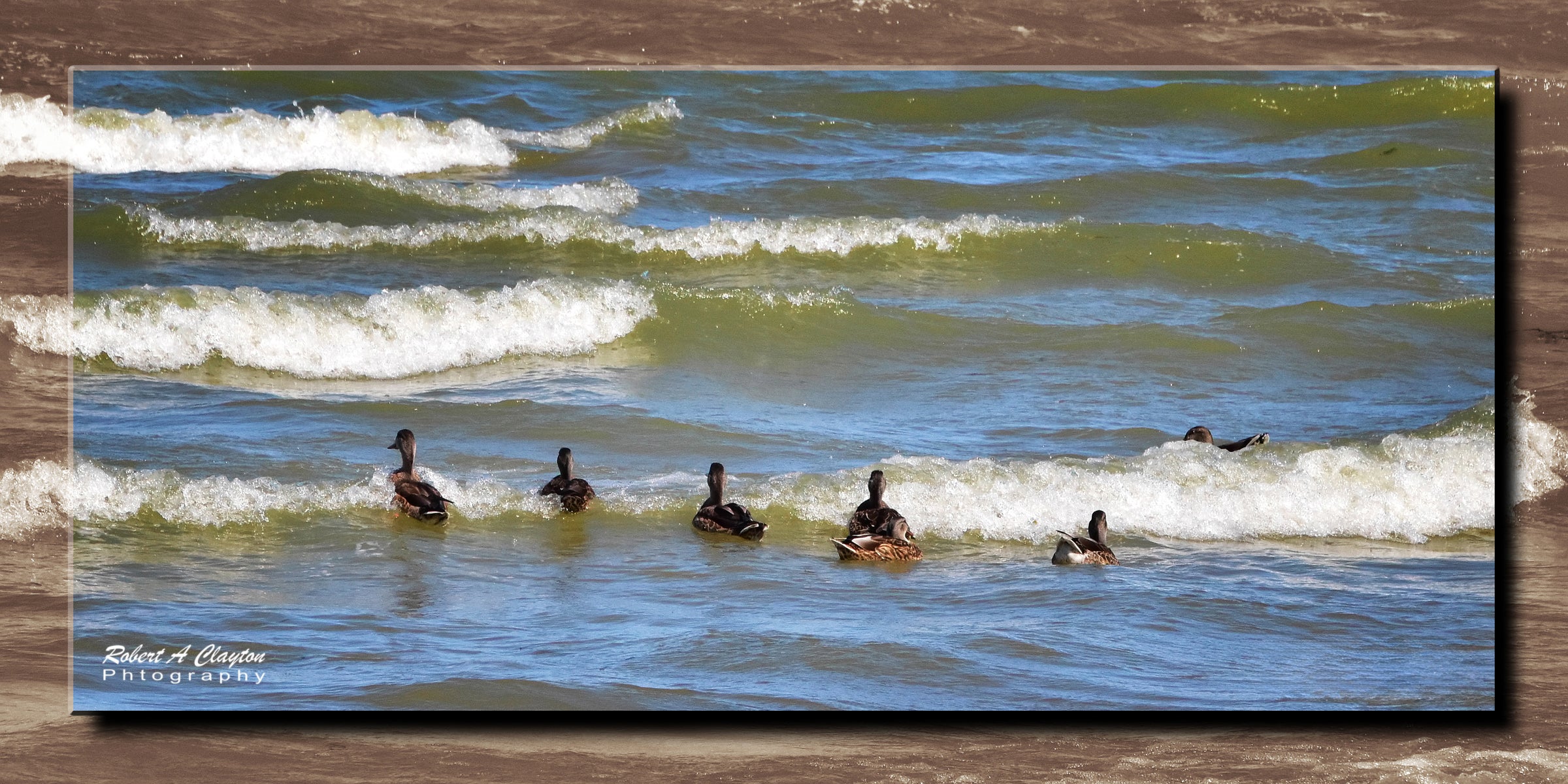 Surf's Up