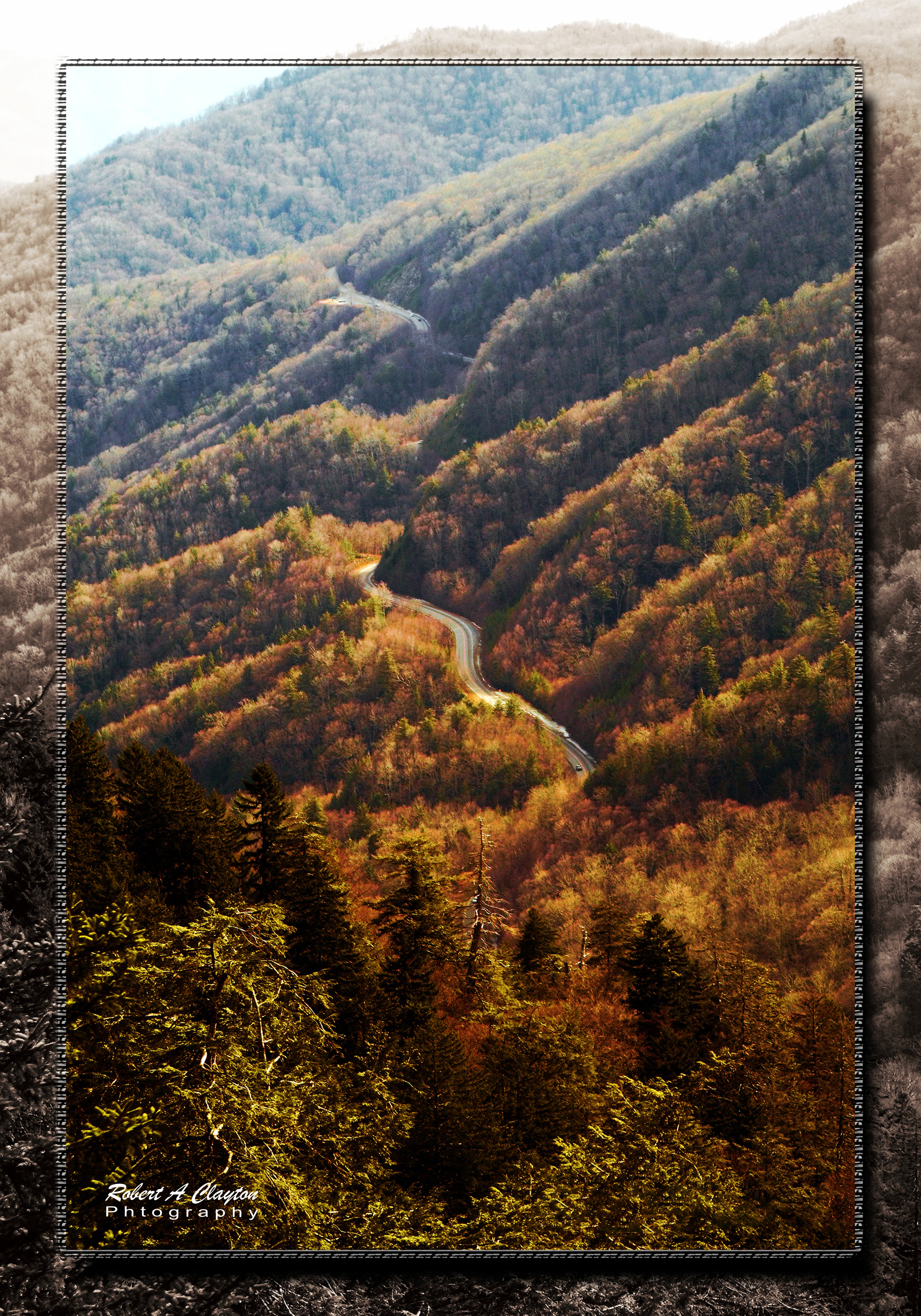 Smoky Mountain Road