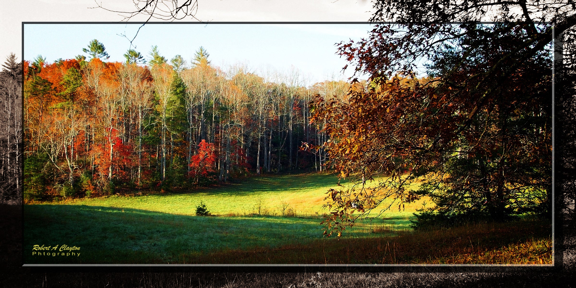 Smoky Mountain Meadow