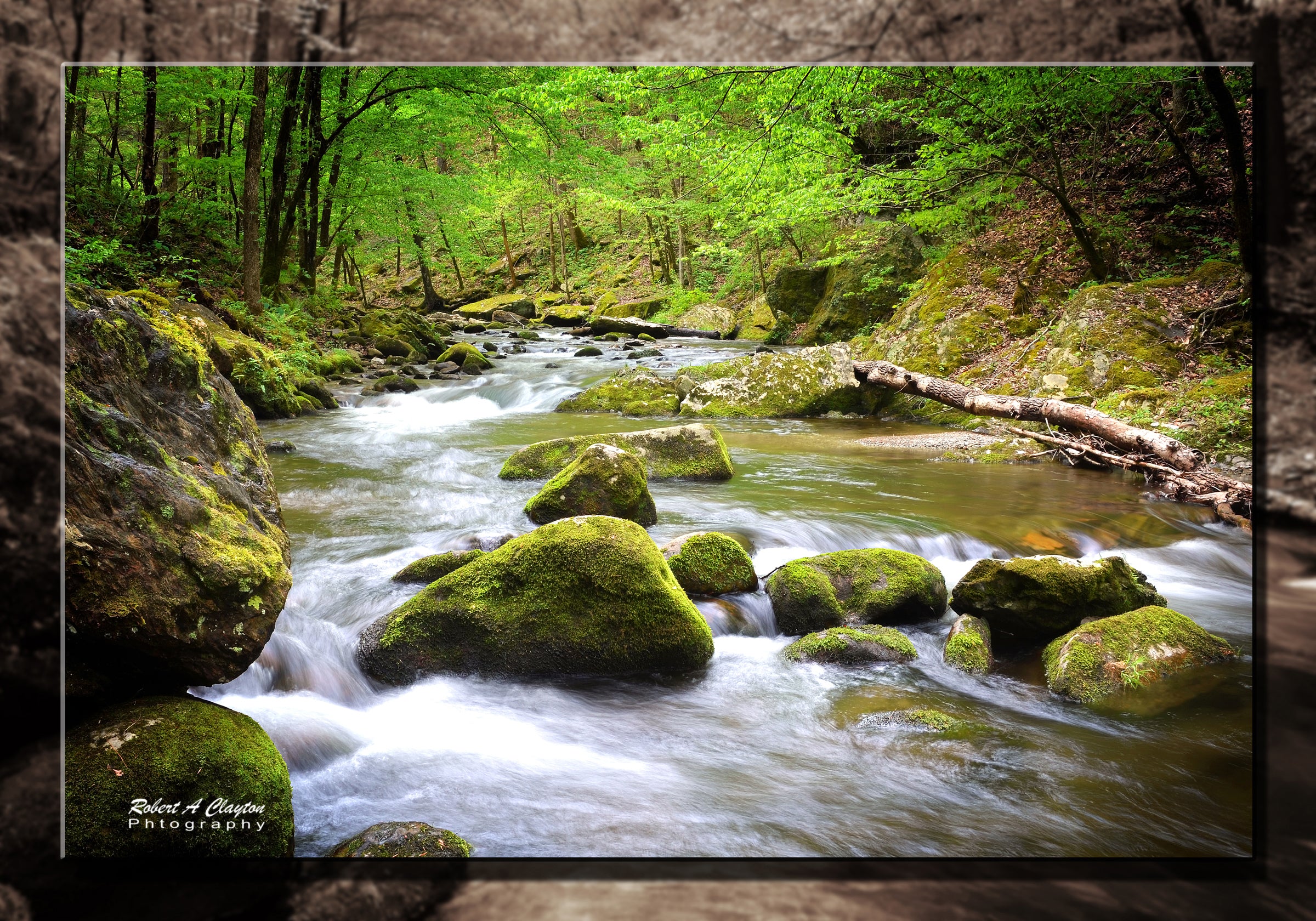 Smoky Mountain Stream (0212b)