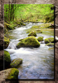 Smoky Mountain Stream (0222b)