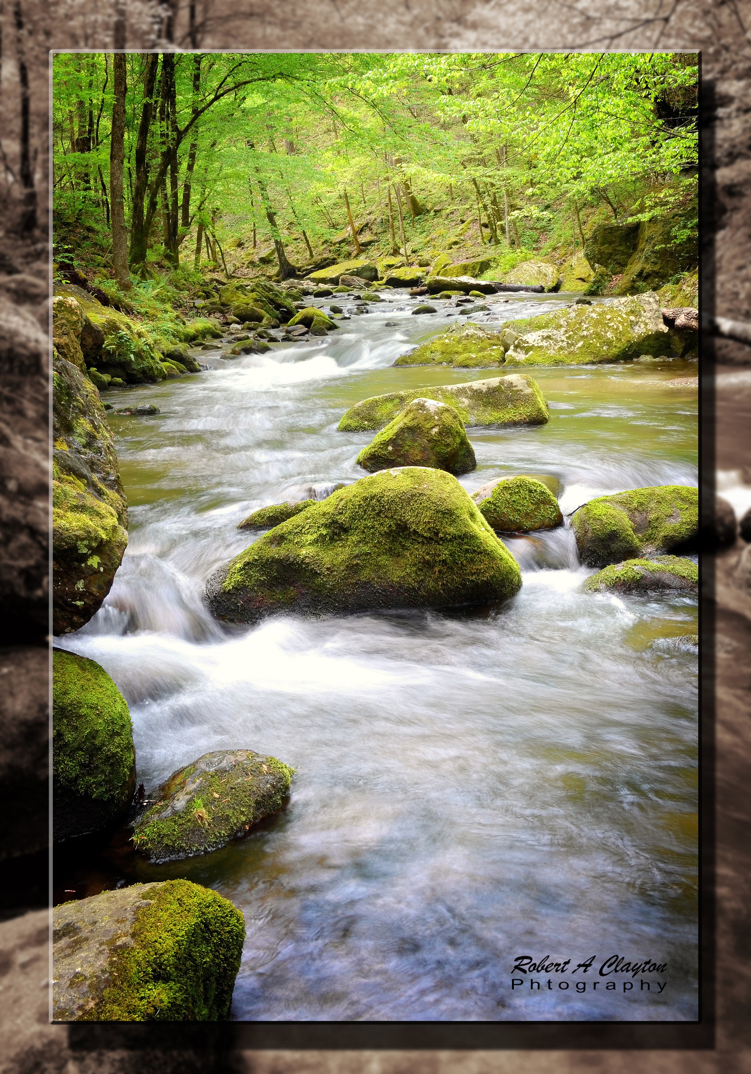Smoky Mountain Stream (0222b)