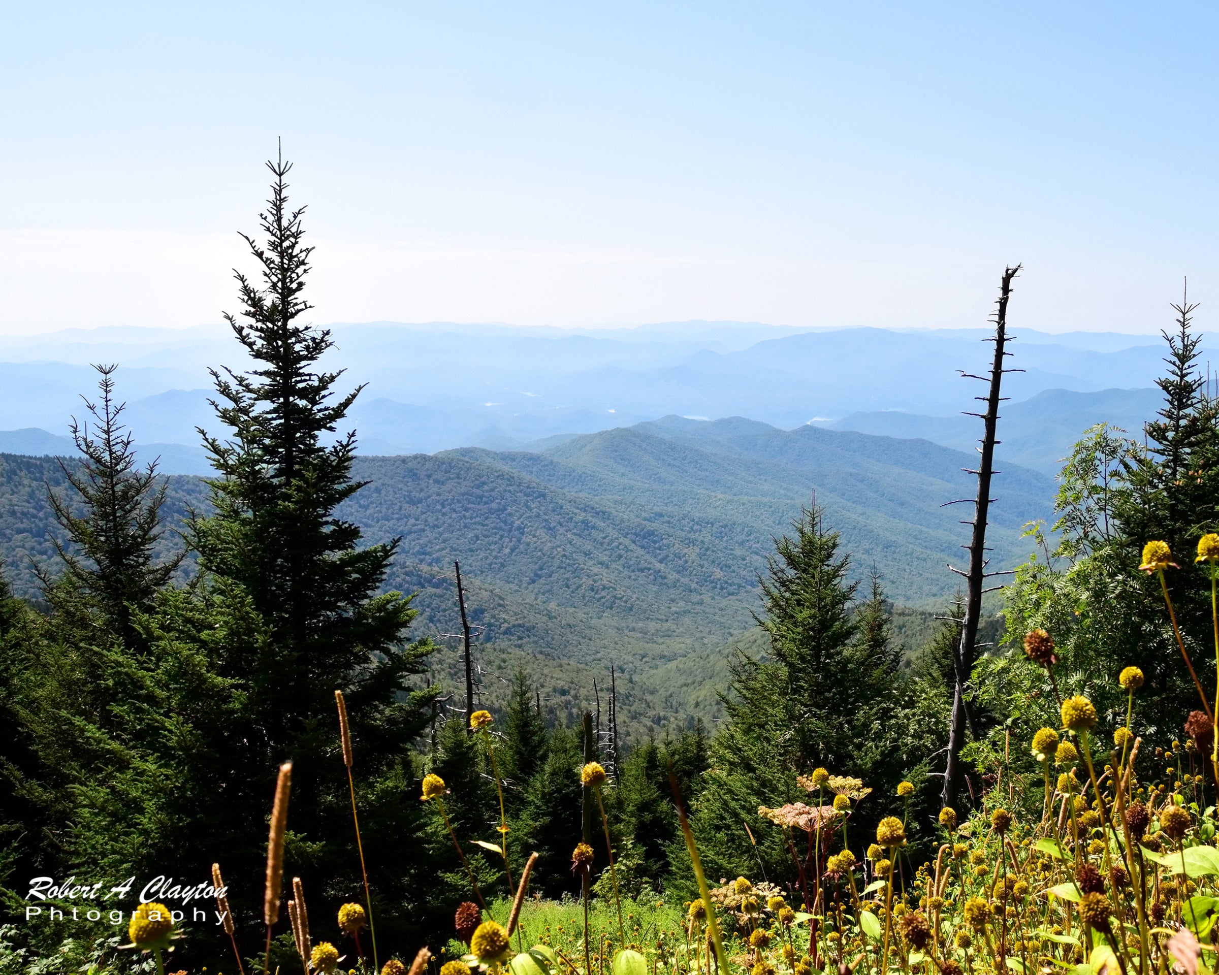Smoky Mountain Vista
