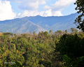 Smoky Mountain Vista b