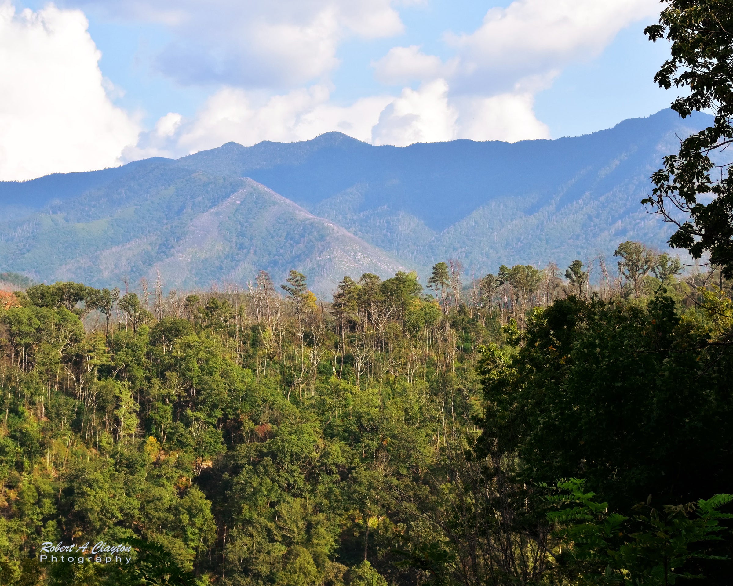 Smoky Mountain Vista b