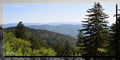 Smoky Mountains (91902bL)