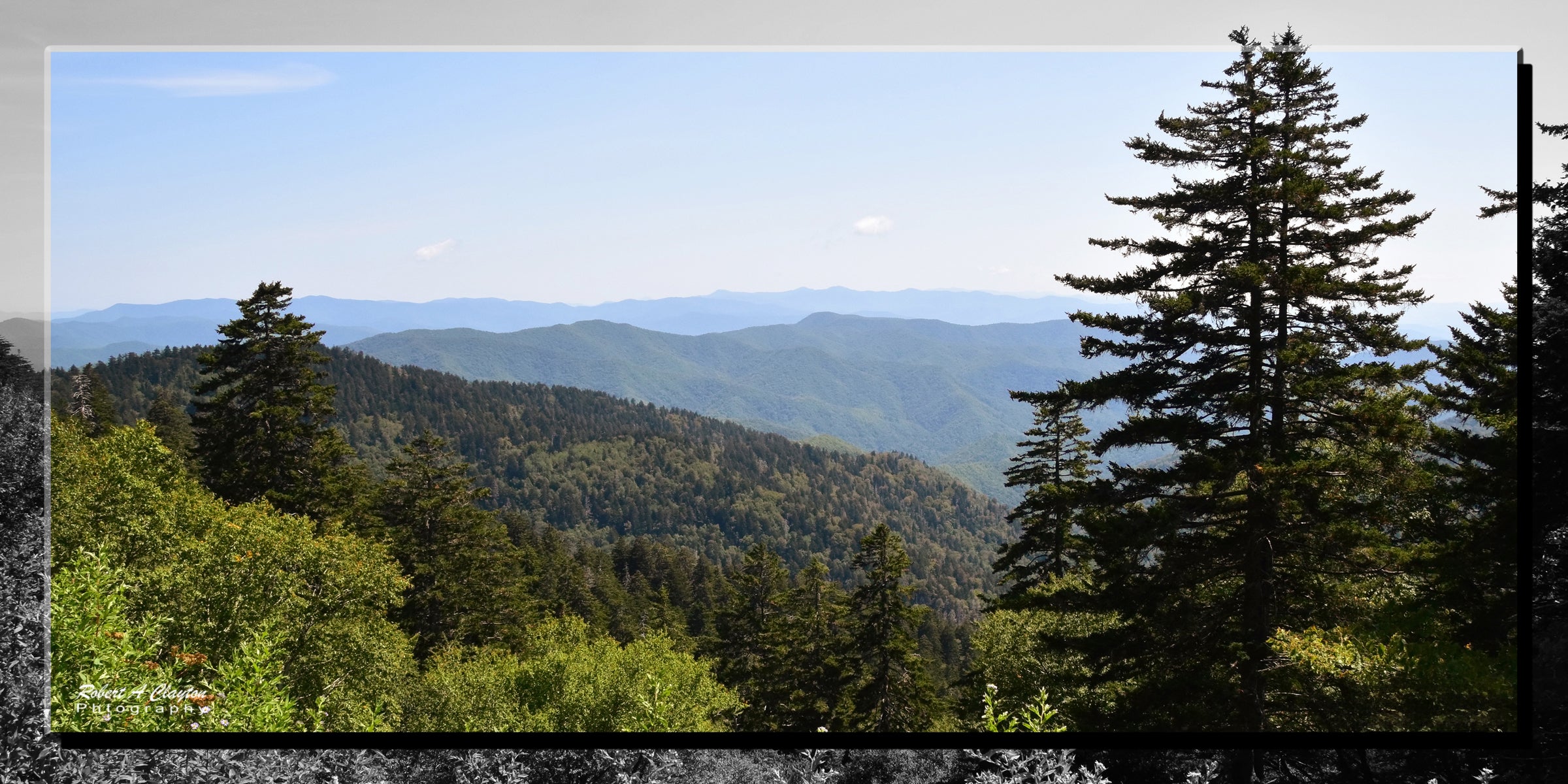 Smoky Mountains (91902bL)