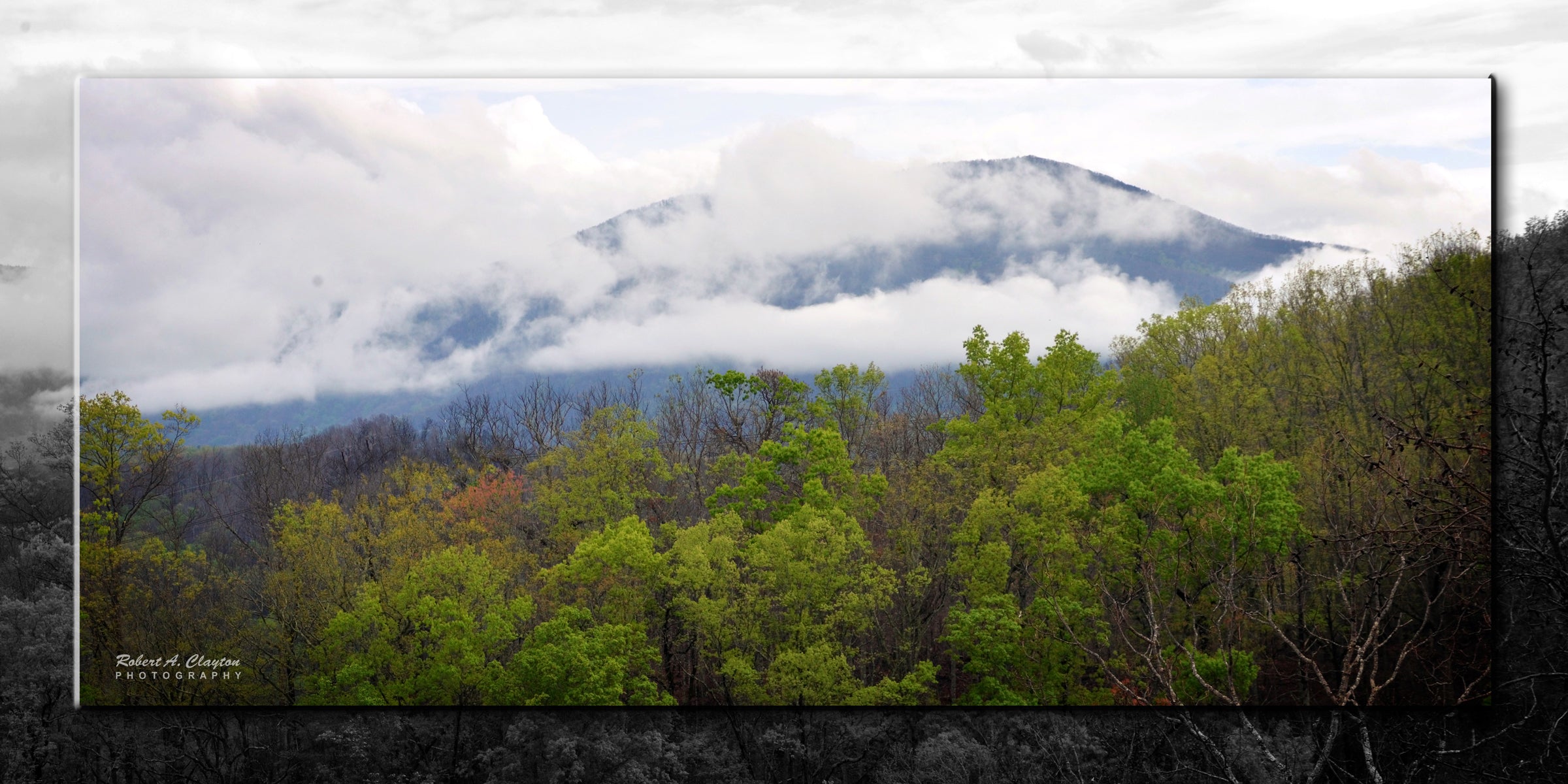 Smoky Mountains (0025b)
