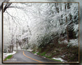 Winter Road